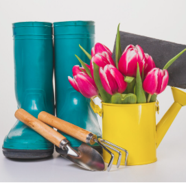 Реклама залучила понад 40% замовлень у перший місяць роботи на маркетплейсі